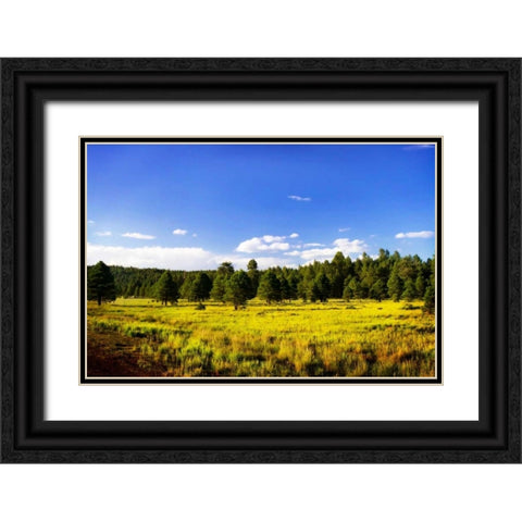 Big Sky Ranch II Black Ornate Wood Framed Art Print with Double Matting by Hausenflock, Alan