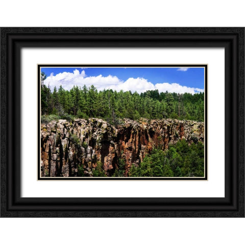 Bones of the Earth Black Ornate Wood Framed Art Print with Double Matting by Hausenflock, Alan