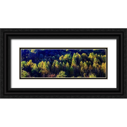 Autumn Ridge I Black Ornate Wood Framed Art Print with Double Matting by Hausenflock, Alan