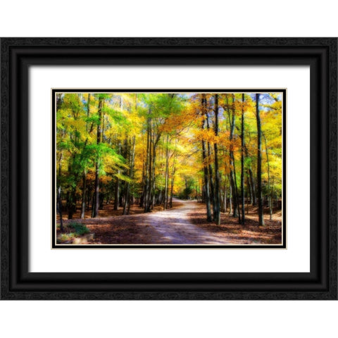 Goose Pond Lane II Black Ornate Wood Framed Art Print with Double Matting by Hausenflock, Alan