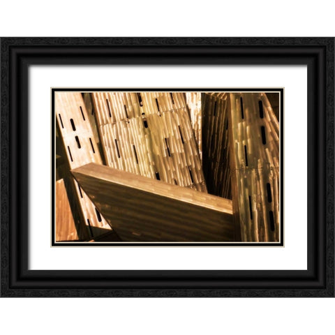 Burnished Modern III Black Ornate Wood Framed Art Print with Double Matting by Hausenflock, Alan