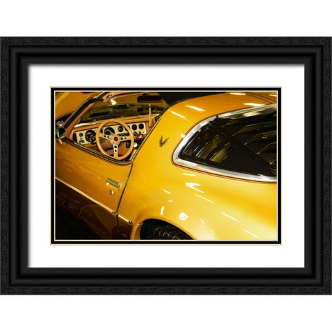 Gold Street Bird Black Ornate Wood Framed Art Print with Double Matting by Hausenflock, Alan