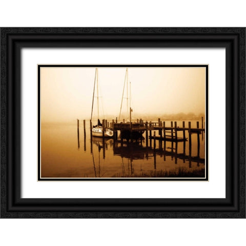 Stella Black Ornate Wood Framed Art Print with Double Matting by Hausenflock, Alan