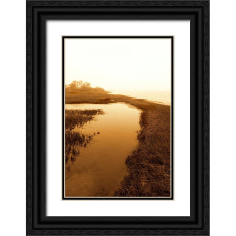 Harkers Island Marsh II Black Ornate Wood Framed Art Print with Double Matting by Hausenflock, Alan