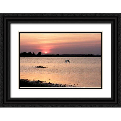 Sunset in the Marsh Black Ornate Wood Framed Art Print with Double Matting by Hausenflock, Alan