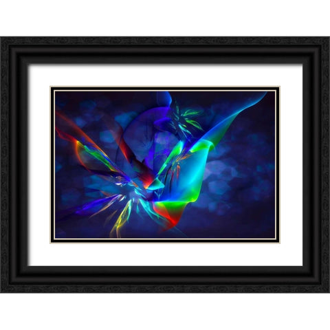 Frenzy II Black Ornate Wood Framed Art Print with Double Matting by Hausenflock, Alan