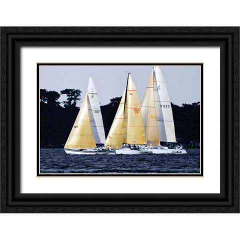 Race at Annapolis IV Black Ornate Wood Framed Art Print with Double Matting by Hausenflock, Alan