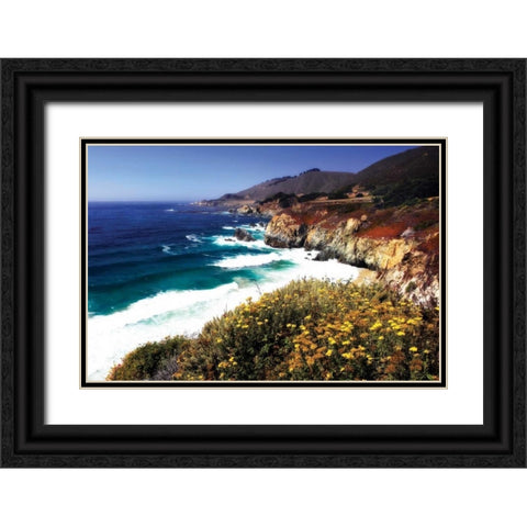 Garrapata Highlands II Black Ornate Wood Framed Art Print with Double Matting by Hausenflock, Alan