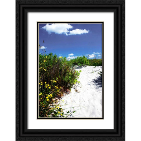 A Sandy Pathway I Black Ornate Wood Framed Art Print with Double Matting by Hausenflock, Alan