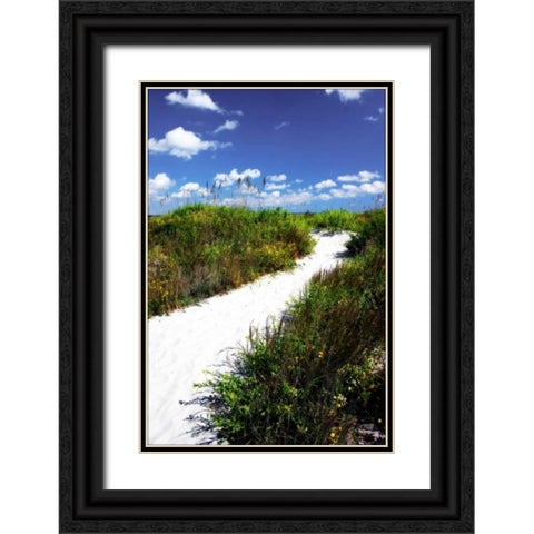 A Sandy Pathway II Black Ornate Wood Framed Art Print with Double Matting by Hausenflock, Alan