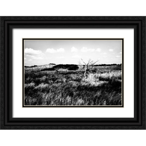 Bear Island I Black Ornate Wood Framed Art Print with Double Matting by Hausenflock, Alan