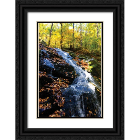 Autumn Waterfall I Black Ornate Wood Framed Art Print with Double Matting by Hausenflock, Alan