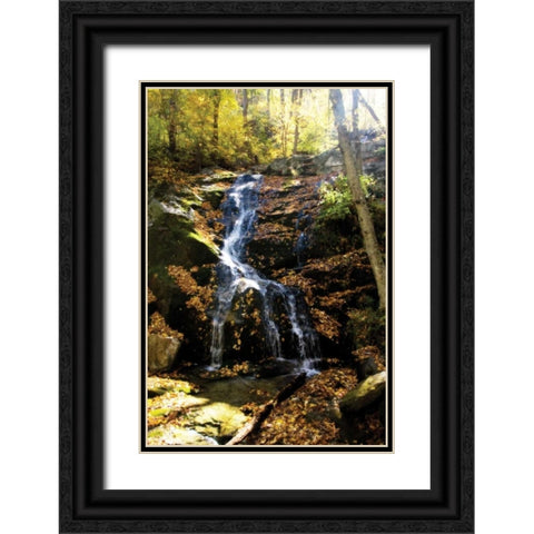 Autumn Waterfall II Black Ornate Wood Framed Art Print with Double Matting by Hausenflock, Alan