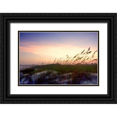 Rosey Sunset II Black Ornate Wood Framed Art Print with Double Matting by Hausenflock, Alan