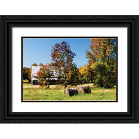 Autumn Scene I Black Ornate Wood Framed Art Print with Double Matting by Hausenflock, Alan