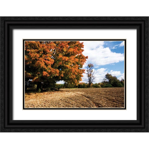 Autumn Scene II Black Ornate Wood Framed Art Print with Double Matting by Hausenflock, Alan