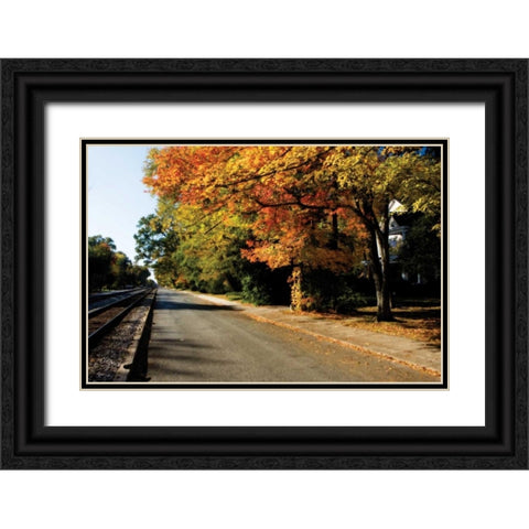 Ashland Black Ornate Wood Framed Art Print with Double Matting by Hausenflock, Alan