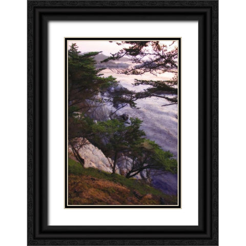 Carmel Highlands Sunset IV Black Ornate Wood Framed Art Print with Double Matting by Hausenflock, Alan