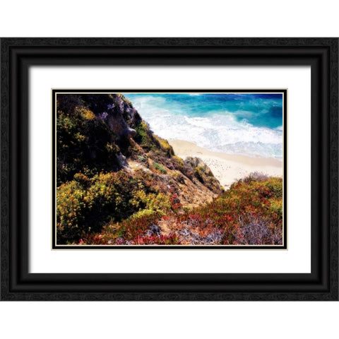 Garrapata Highlands I Black Ornate Wood Framed Art Print with Double Matting by Hausenflock, Alan