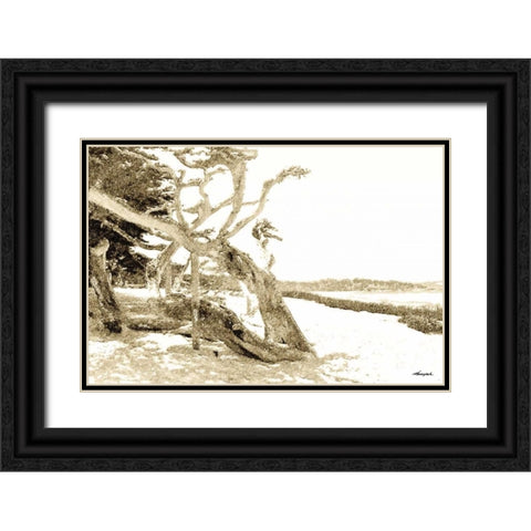 Carmel Beach II Black Ornate Wood Framed Art Print with Double Matting by Hausenflock, Alan