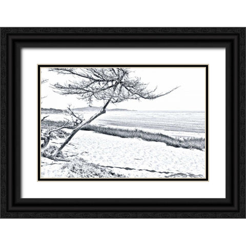 Carmel Beach III Black Ornate Wood Framed Art Print with Double Matting by Hausenflock, Alan