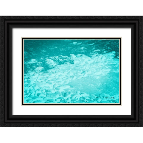 The Shore Black Ornate Wood Framed Art Print with Double Matting by Hausenflock, Alan