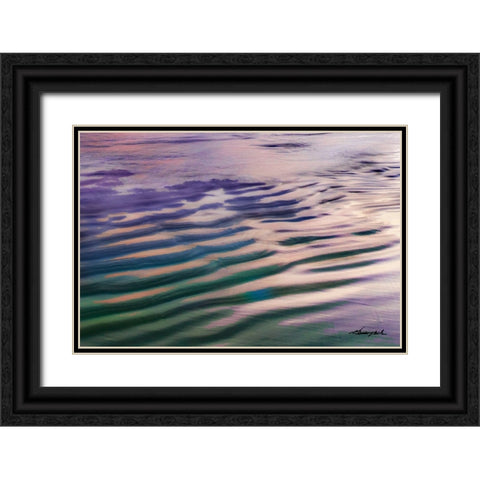 Water and Sand Black Ornate Wood Framed Art Print with Double Matting by Hausenflock, Alan