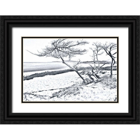 Carmel Beach IV Black Ornate Wood Framed Art Print with Double Matting by Hausenflock, Alan