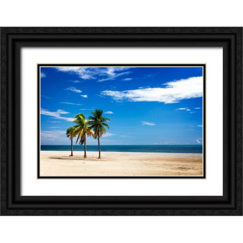 Palms on the Beach III Black Ornate Wood Framed Art Print with Double Matting by Hausenflock, Alan