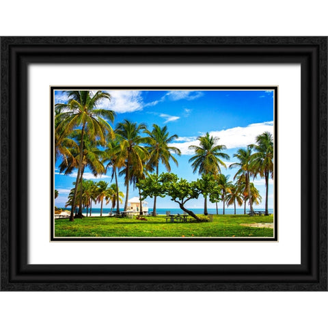 Ice Cream at the Beach Black Ornate Wood Framed Art Print with Double Matting by Hausenflock, Alan