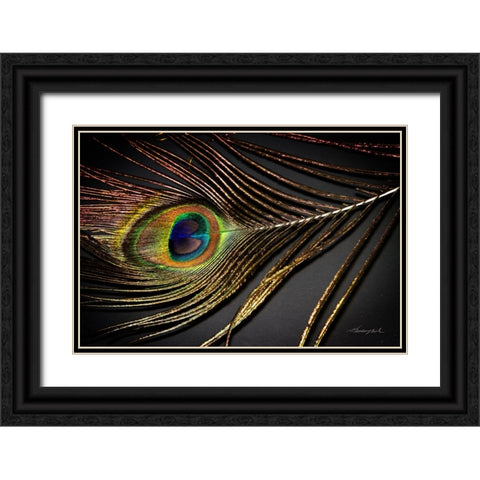Peacock Feather II Black Ornate Wood Framed Art Print with Double Matting by Hausenflock, Alan