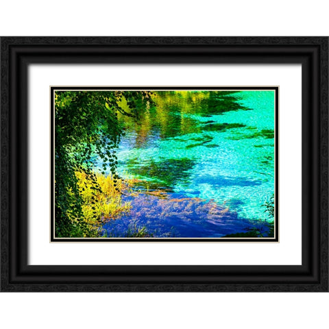 Rainbow River Black Ornate Wood Framed Art Print with Double Matting by Hausenflock, Alan