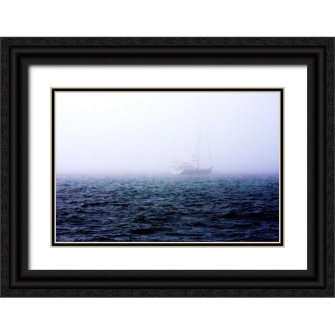 Fog on the Bay I Black Ornate Wood Framed Art Print with Double Matting by Hausenflock, Alan