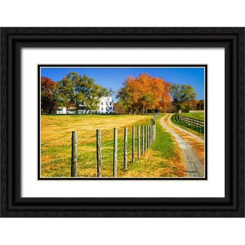 Homestead Black Ornate Wood Framed Art Print with Double Matting by Hausenflock, Alan