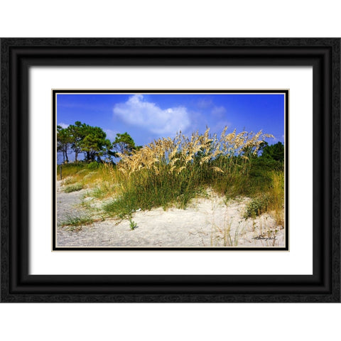 Cape Lookout Island Black Ornate Wood Framed Art Print with Double Matting by Hausenflock, Alan