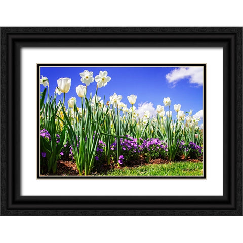 Flower Border I Black Ornate Wood Framed Art Print with Double Matting by Hausenflock, Alan