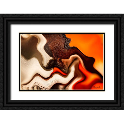 Flow Black Ornate Wood Framed Art Print with Double Matting by Hausenflock, Alan