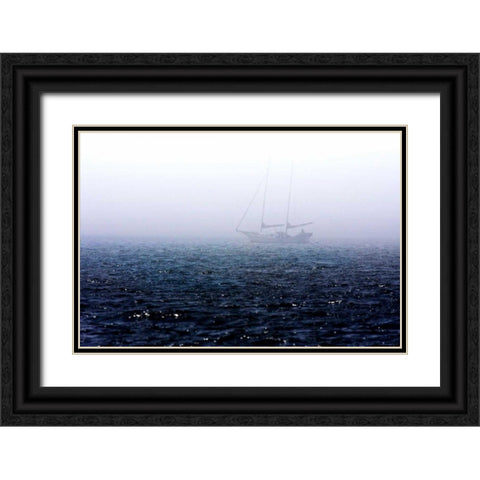 Fog on the Bay II Black Ornate Wood Framed Art Print with Double Matting by Hausenflock, Alan