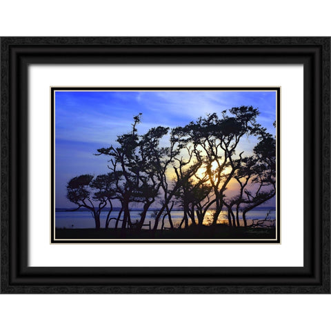 Lennoxville Point Black Ornate Wood Framed Art Print with Double Matting by Hausenflock, Alan