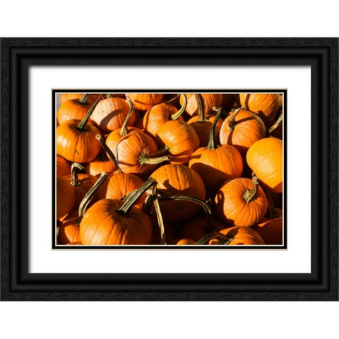 Pumpkins Black Ornate Wood Framed Art Print with Double Matting by Hausenflock, Alan