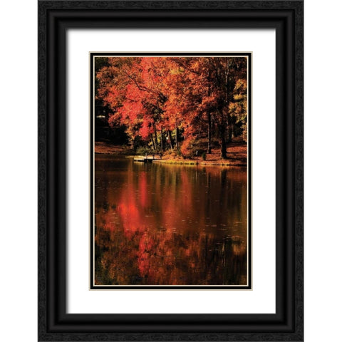 Red Reflections Black Ornate Wood Framed Art Print with Double Matting by Hausenflock, Alan