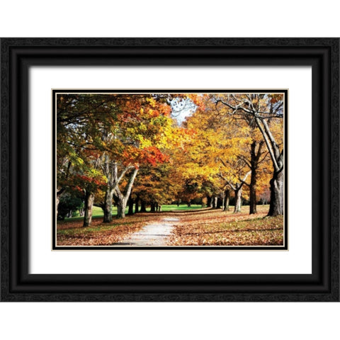 Maymont Maples I Black Ornate Wood Framed Art Print with Double Matting by Hausenflock, Alan