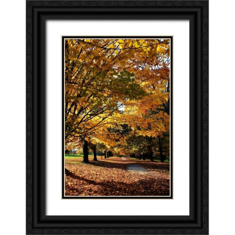 Maymont Maples IV Black Ornate Wood Framed Art Print with Double Matting by Hausenflock, Alan