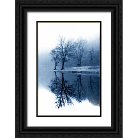 Fog on the Lake I Black Ornate Wood Framed Art Print with Double Matting by Hausenflock, Alan