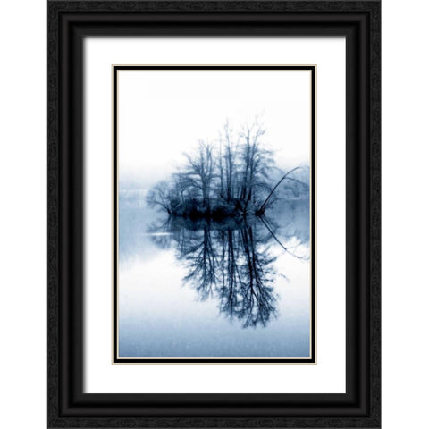 Fog on the Lake II Black Ornate Wood Framed Art Print with Double Matting by Hausenflock, Alan