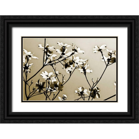 Dogwood III Black Ornate Wood Framed Art Print with Double Matting by Hausenflock, Alan