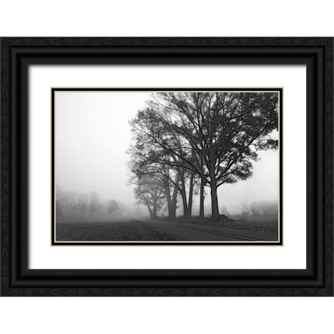 Rural Point Road Black Ornate Wood Framed Art Print with Double Matting by Hausenflock, Alan