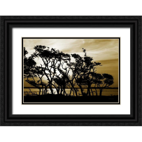 Blissful Shore II Black Ornate Wood Framed Art Print with Double Matting by Hausenflock, Alan