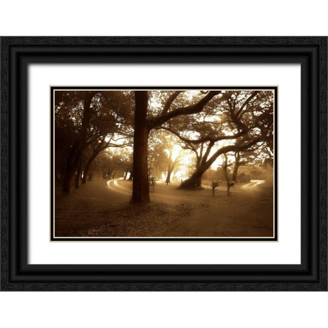 Salvation Retreat I Black Ornate Wood Framed Art Print with Double Matting by Hausenflock, Alan