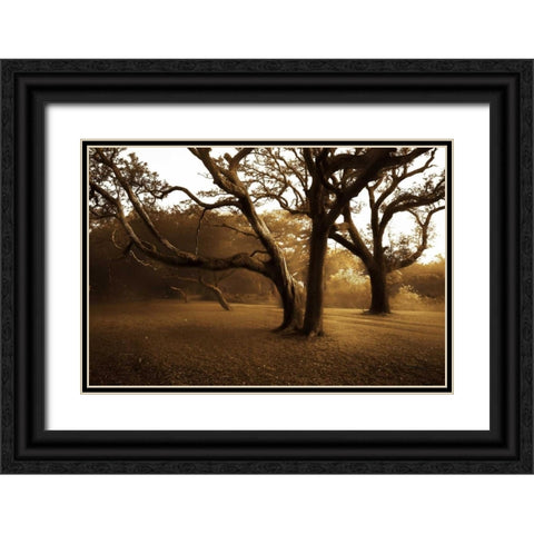 Salvation Retreat II Black Ornate Wood Framed Art Print with Double Matting by Hausenflock, Alan